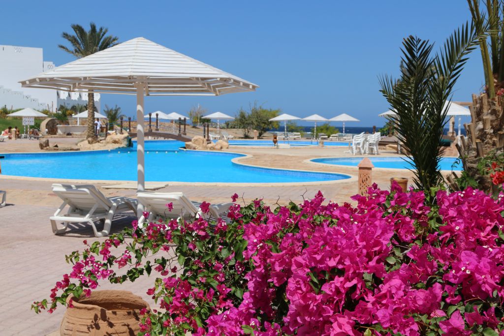 Mit All-Inclusive am Pool zu relaxen kann im Urlaub wirklich sehr erfüllend sein! Foto: Sascha Tegtmeyer