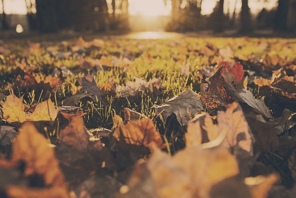 Die kalte Jahreszeit ist da: Wir haben uns viele spannende Tipps für Aktivitäten im Herbst überlegt. Foto: Pexels