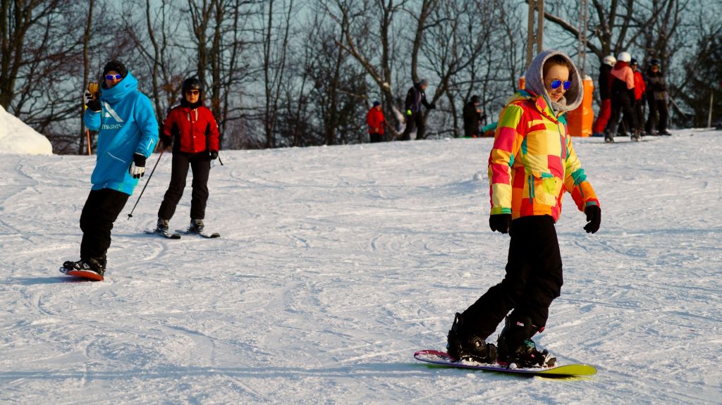 Ein Skiurlaub kann ordentlich ins Geld gehen - warum nicht einfach in der Skihalle üben? Foto: Pixabay