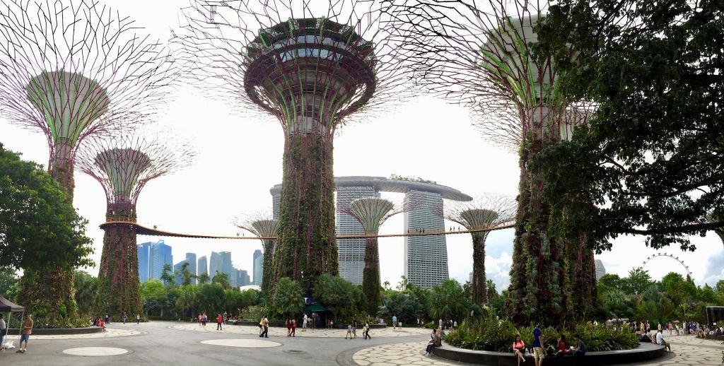 Moderne Kunst: Supertree Grove im Vordergrund mit dem berühmten Marina Bay Sands Resort im Hintergrund. Foto: Sascha Tegtmeyer